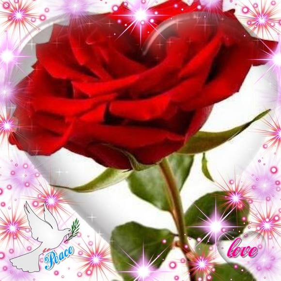 isabel123j